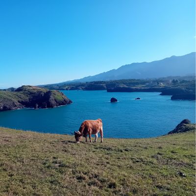 Espacios de calma del Atelier